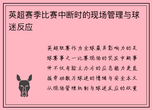英超赛季比赛中断时的现场管理与球迷反应