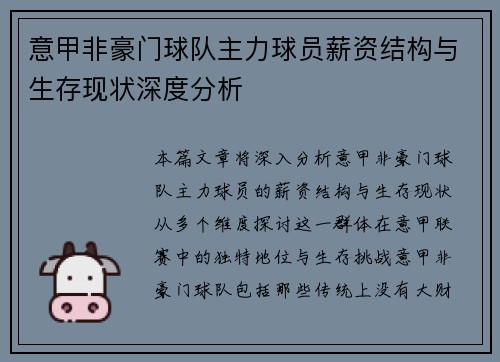 意甲非豪门球队主力球员薪资结构与生存现状深度分析